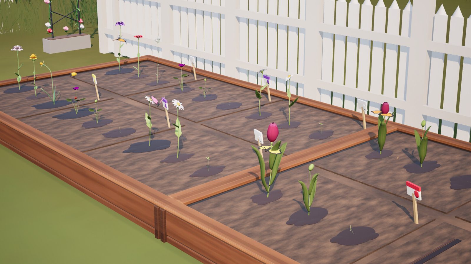 A raised garden bed with tulips and daisies sprouting